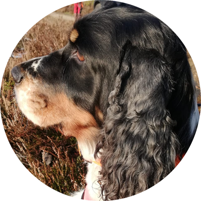 Kadaversuchhund Lucy